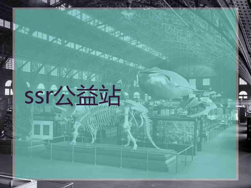 ssr公益站
