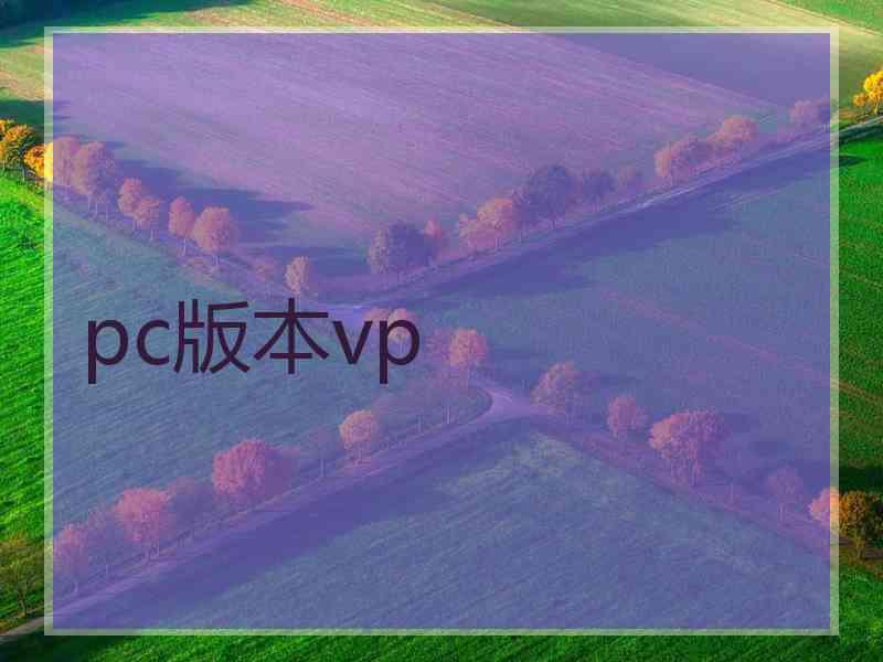 pc版本vp