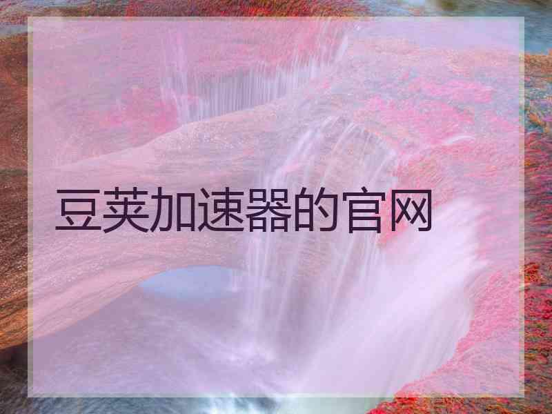 豆荚加速器的官网