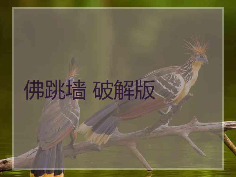 佛跳墙 破解版