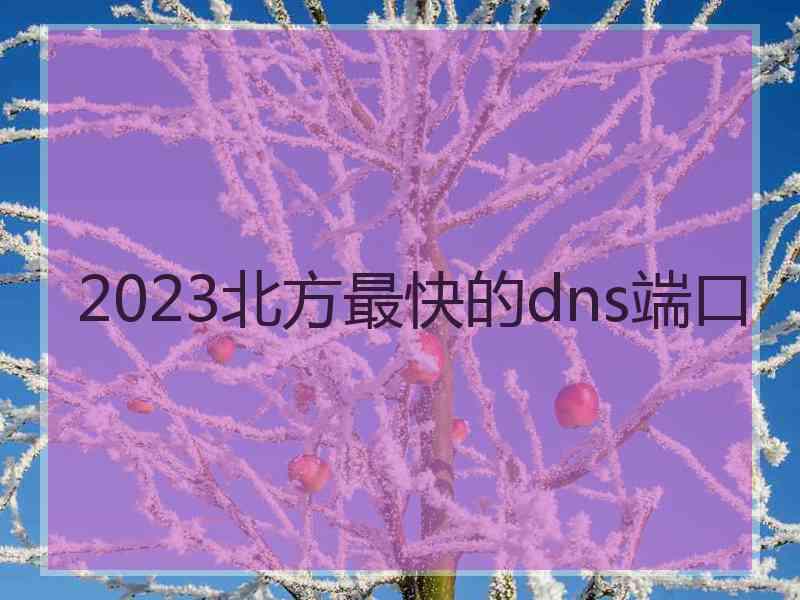 2023北方最快的dns端口