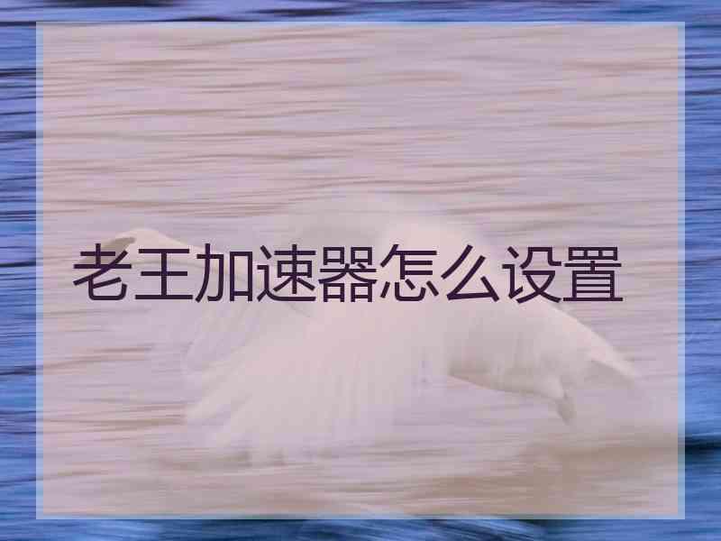 老王加速器怎么设置