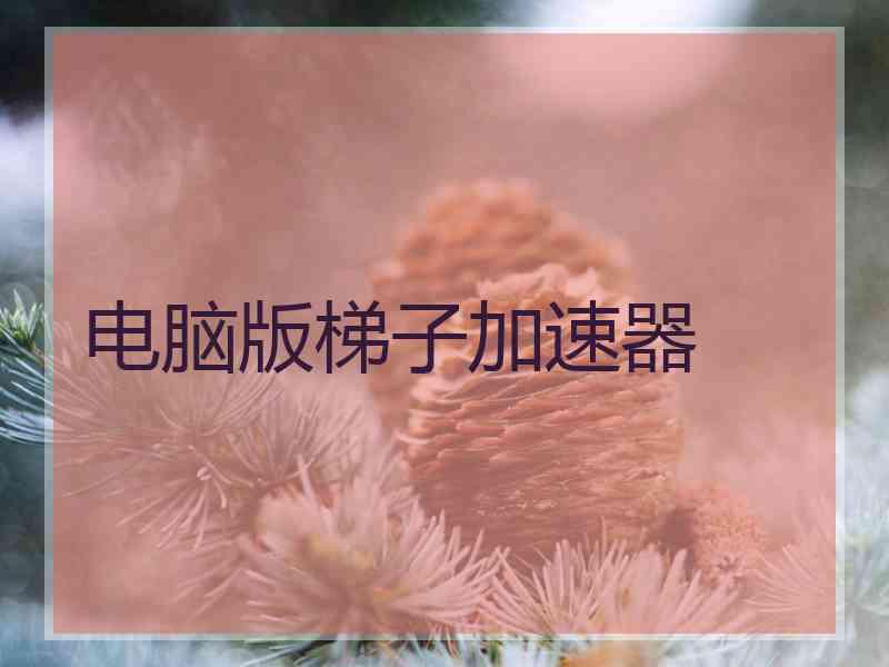 电脑版梯子加速器
