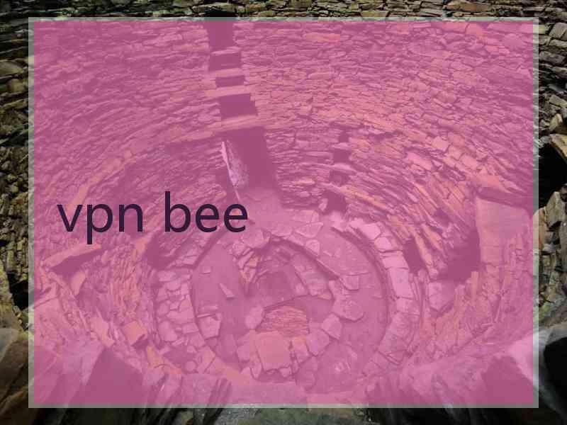 vpn bee