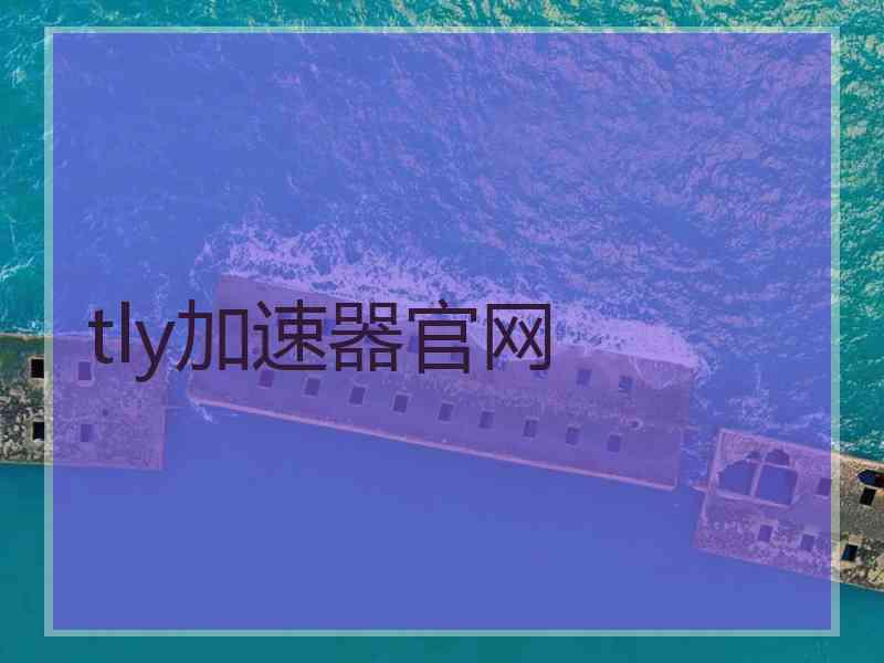 tly加速器官网