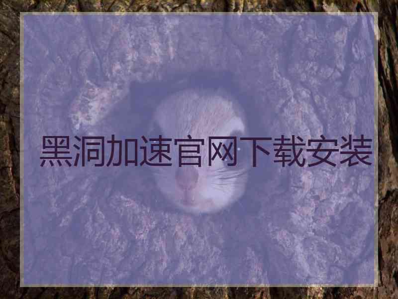 黑洞加速官网下载安装