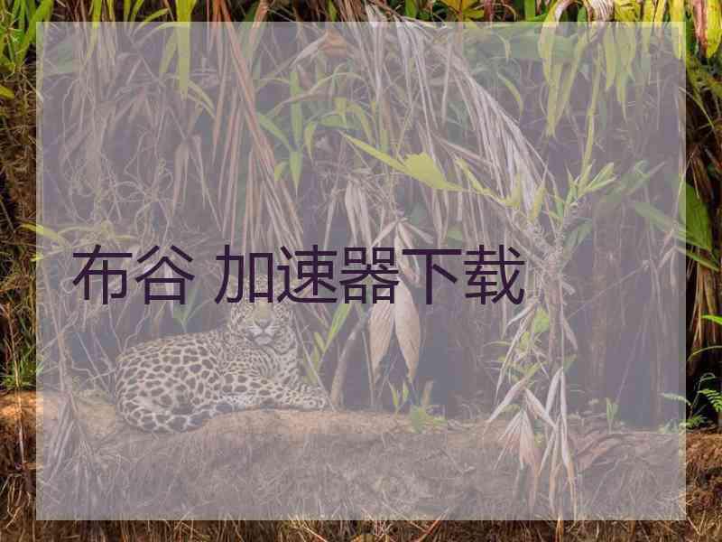 布谷 加速器下载