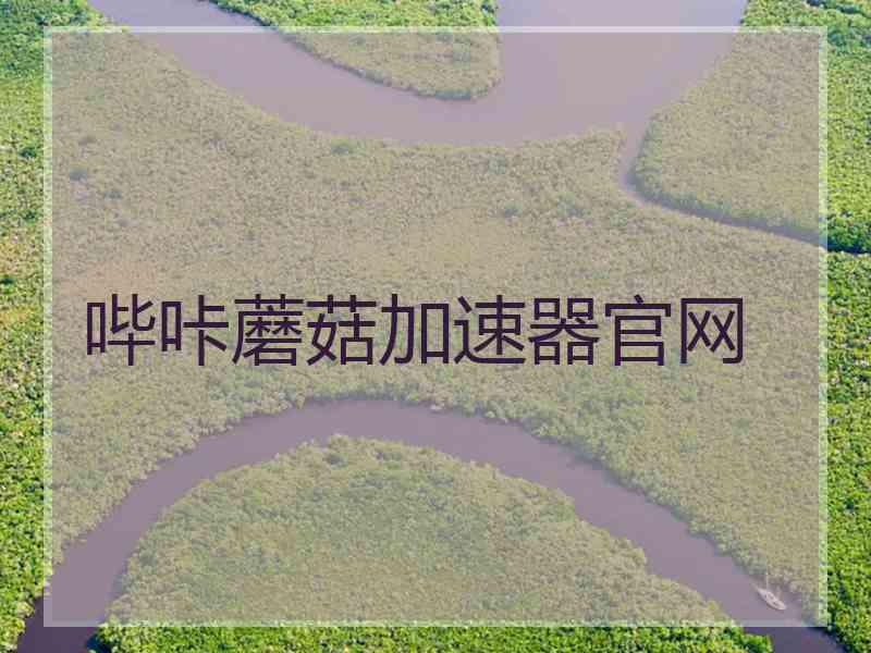 哔咔蘑菇加速器官网