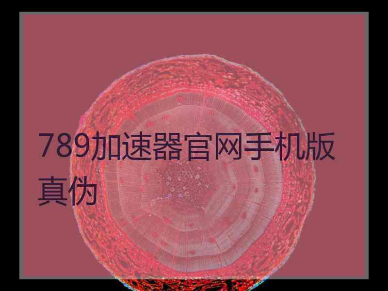 789加速器官网手机版真伪