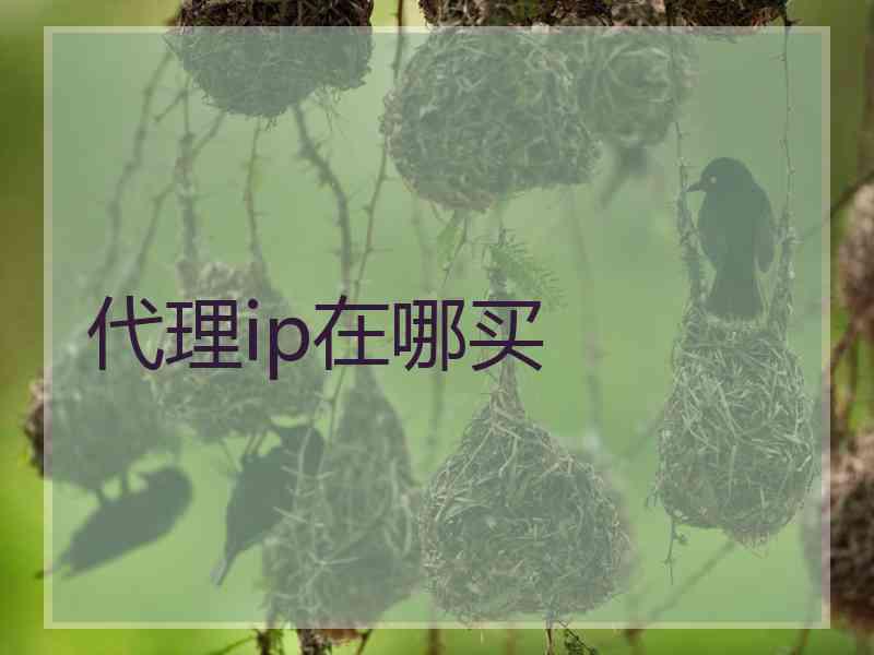 代理ip在哪买