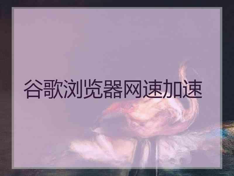 谷歌浏览器网速加速