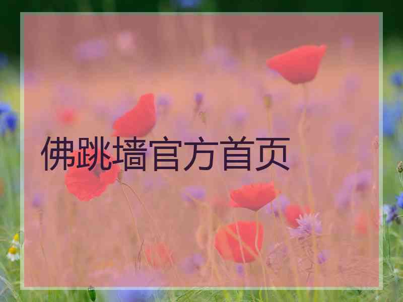 佛跳墙官方首页