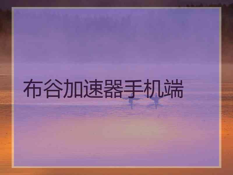 布谷加速器手机端