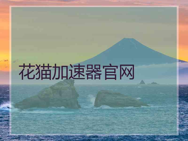 花猫加速器官网