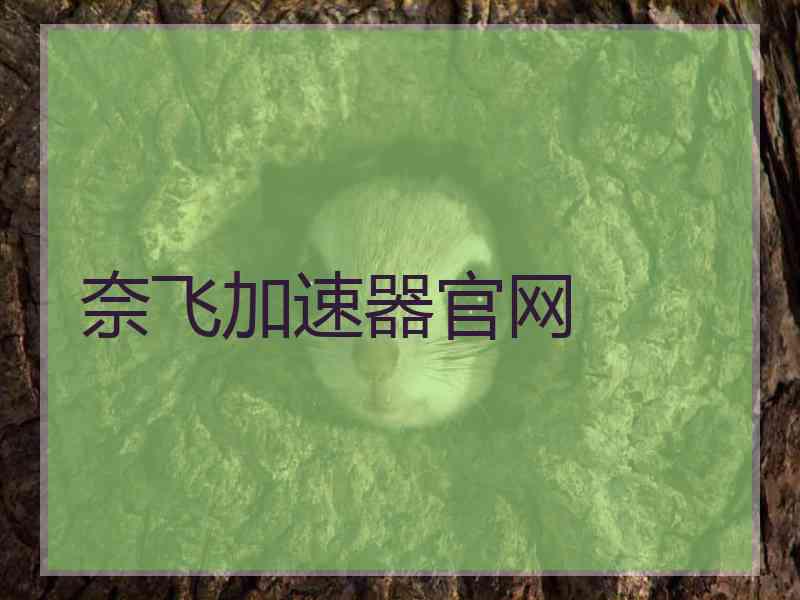 奈飞加速器官网