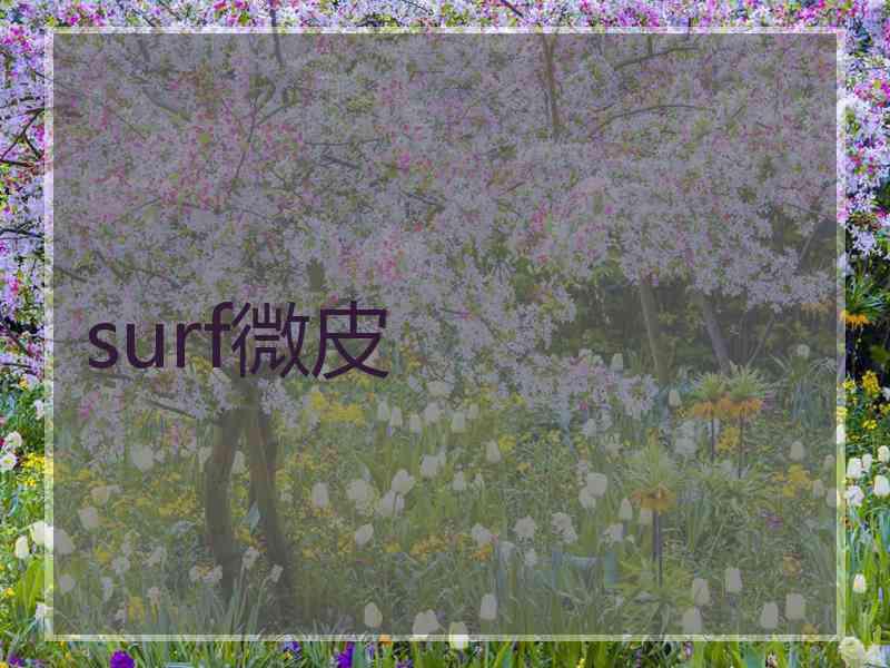 surf微皮