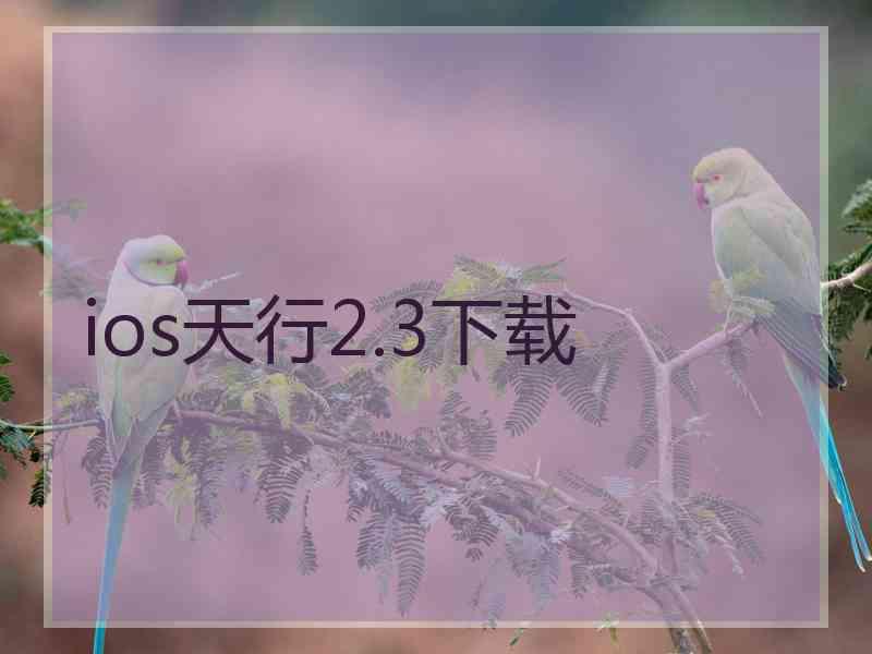 ios天行2.3下载