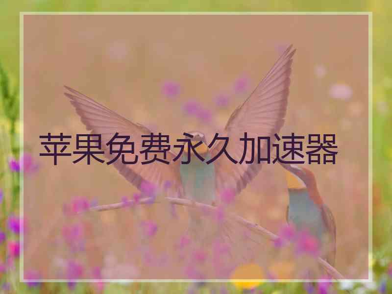 苹果免费永久加速器