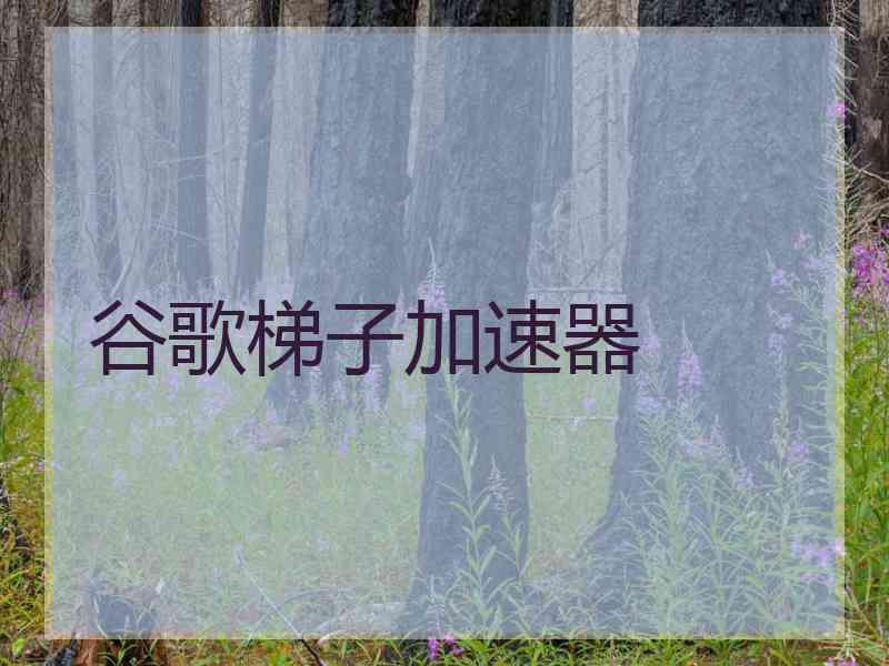 谷歌梯子加速器