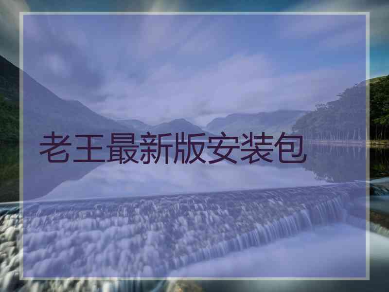老王最新版安装包