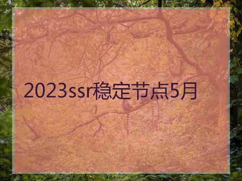 2023ssr稳定节点5月