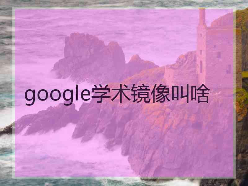 google学术镜像叫啥