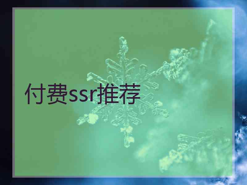 付费ssr推荐
