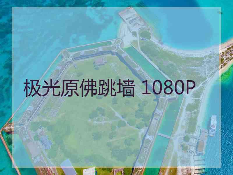 极光原佛跳墙 1080P