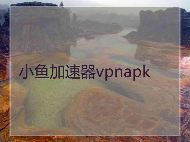 小鱼加速器vpnapk