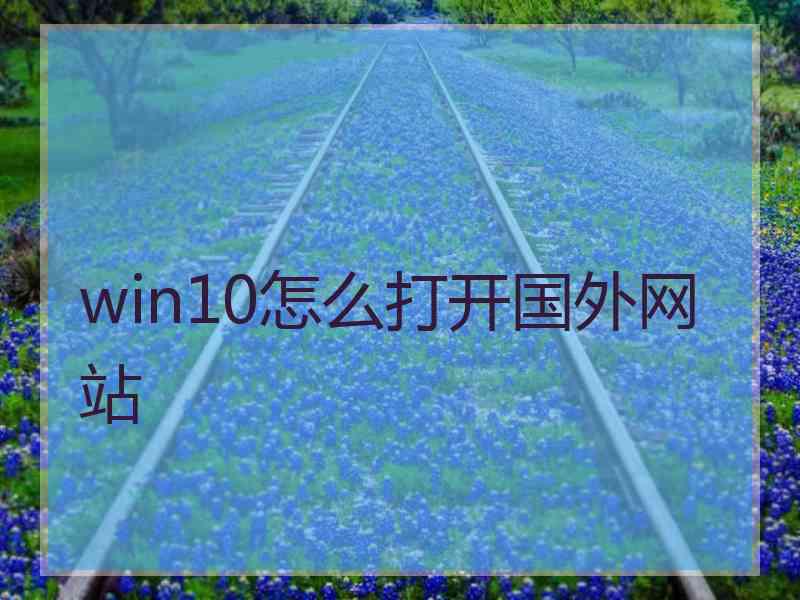 win10怎么打开国外网站