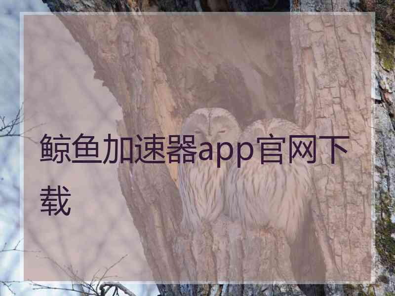 鲸鱼加速器app官网下载