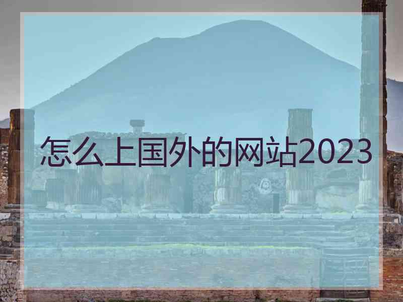 怎么上国外的网站2023