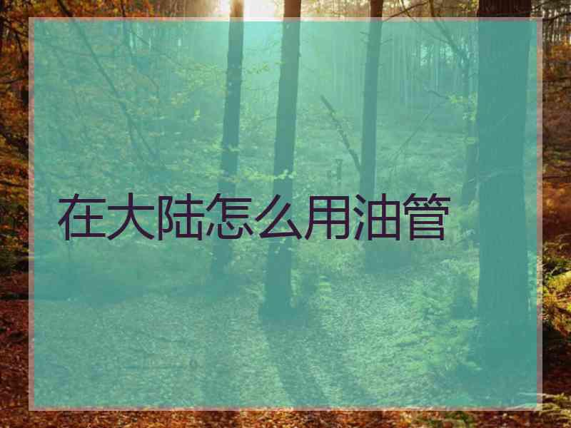 在大陆怎么用油管