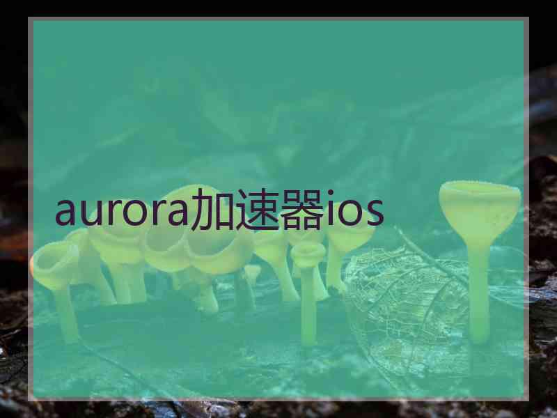 aurora加速器ios