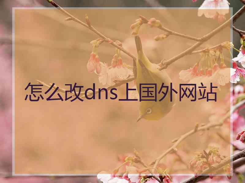 怎么改dns上国外网站