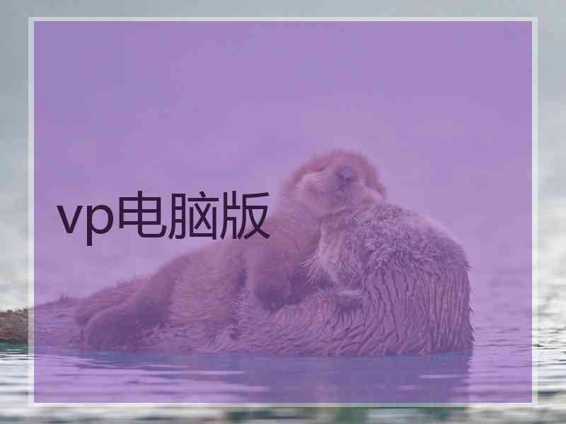 vp电脑版