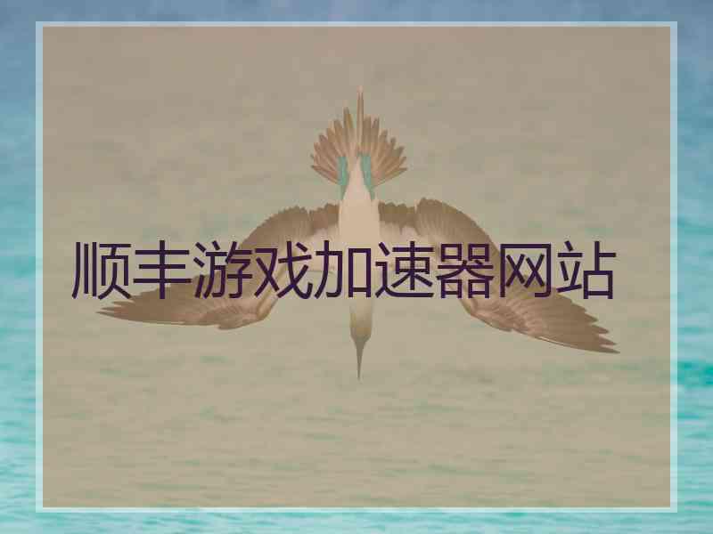 顺丰游戏加速器网站