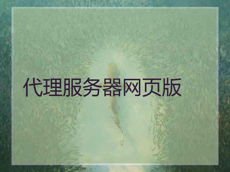 代理服务器网页版