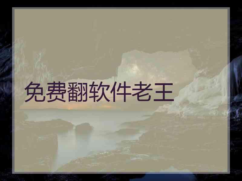 免费翻软件老王