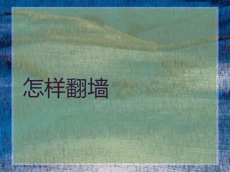 怎样翻墙