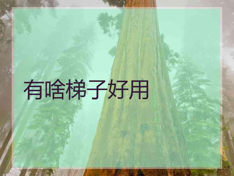 有啥梯子好用