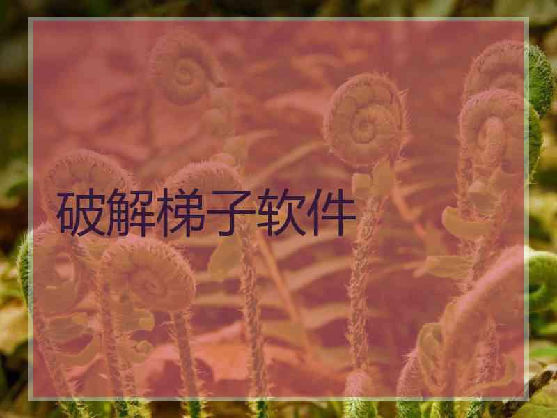 破解梯子软件