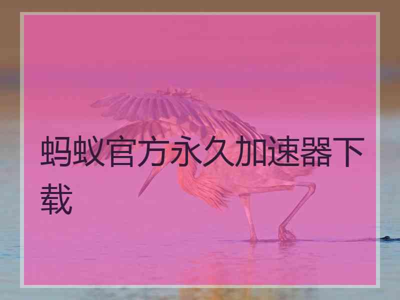 蚂蚁官方永久加速器下载
