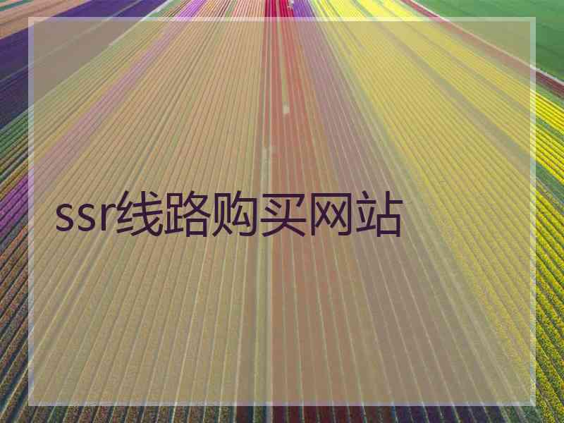 ssr线路购买网站