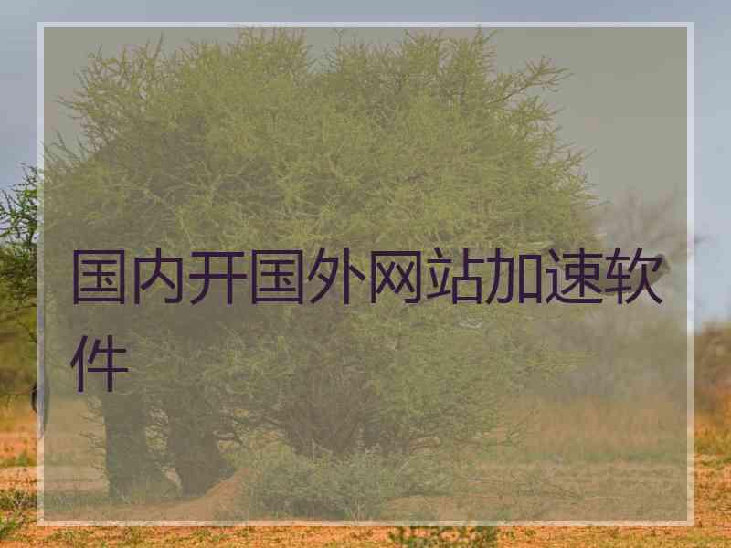 国内开国外网站加速软件