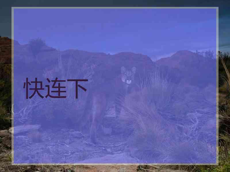 快连下
