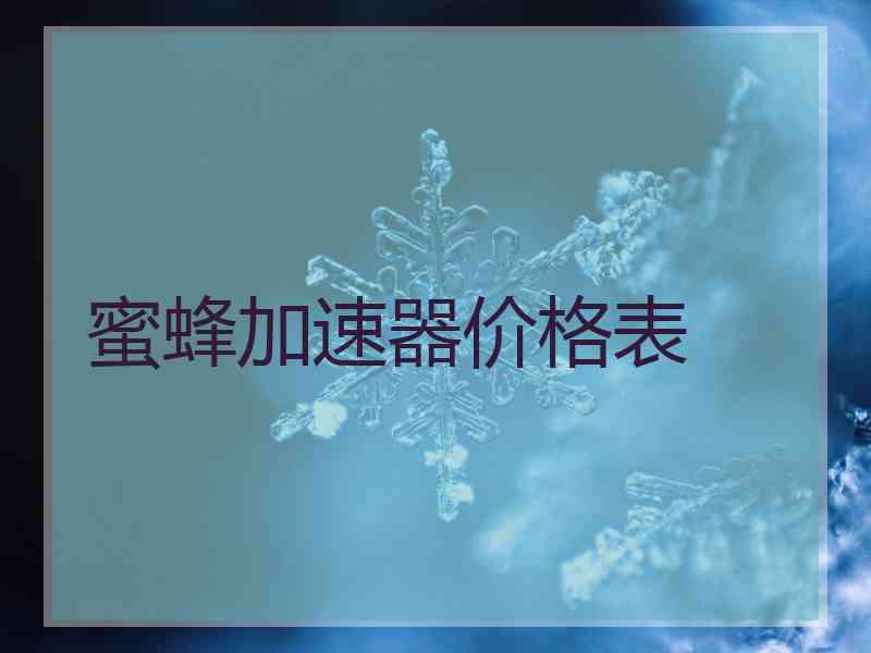 蜜蜂加速器价格表