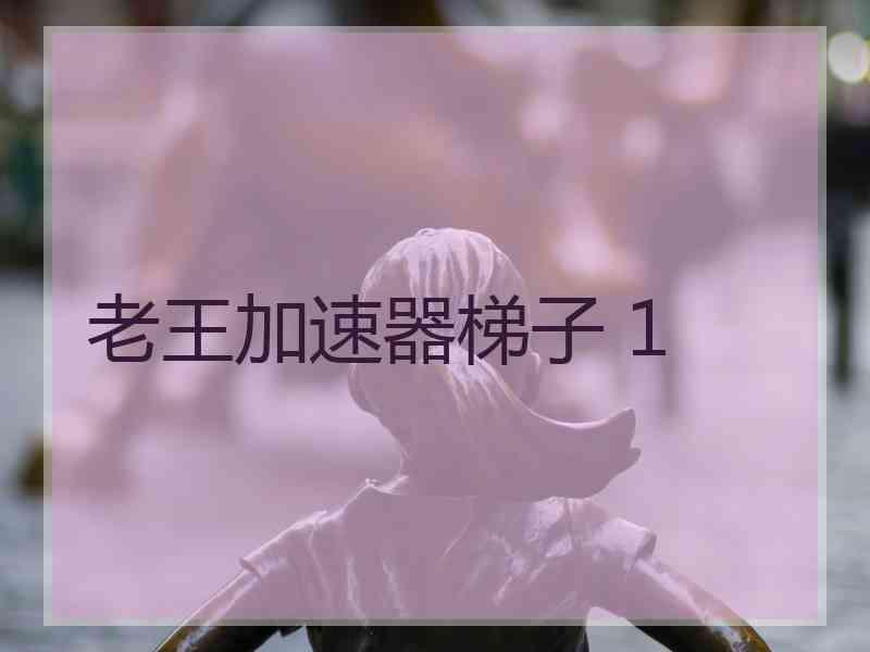 老王加速器梯子 1