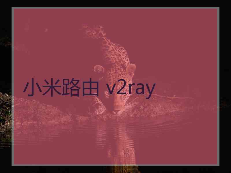 小米路由 v2ray
