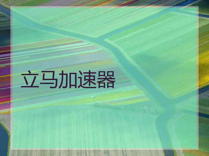 立马加速器